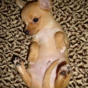 Fundraising Page: Fanny Klute